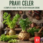 Pravi celer