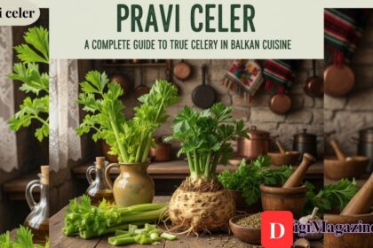 Pravi celer